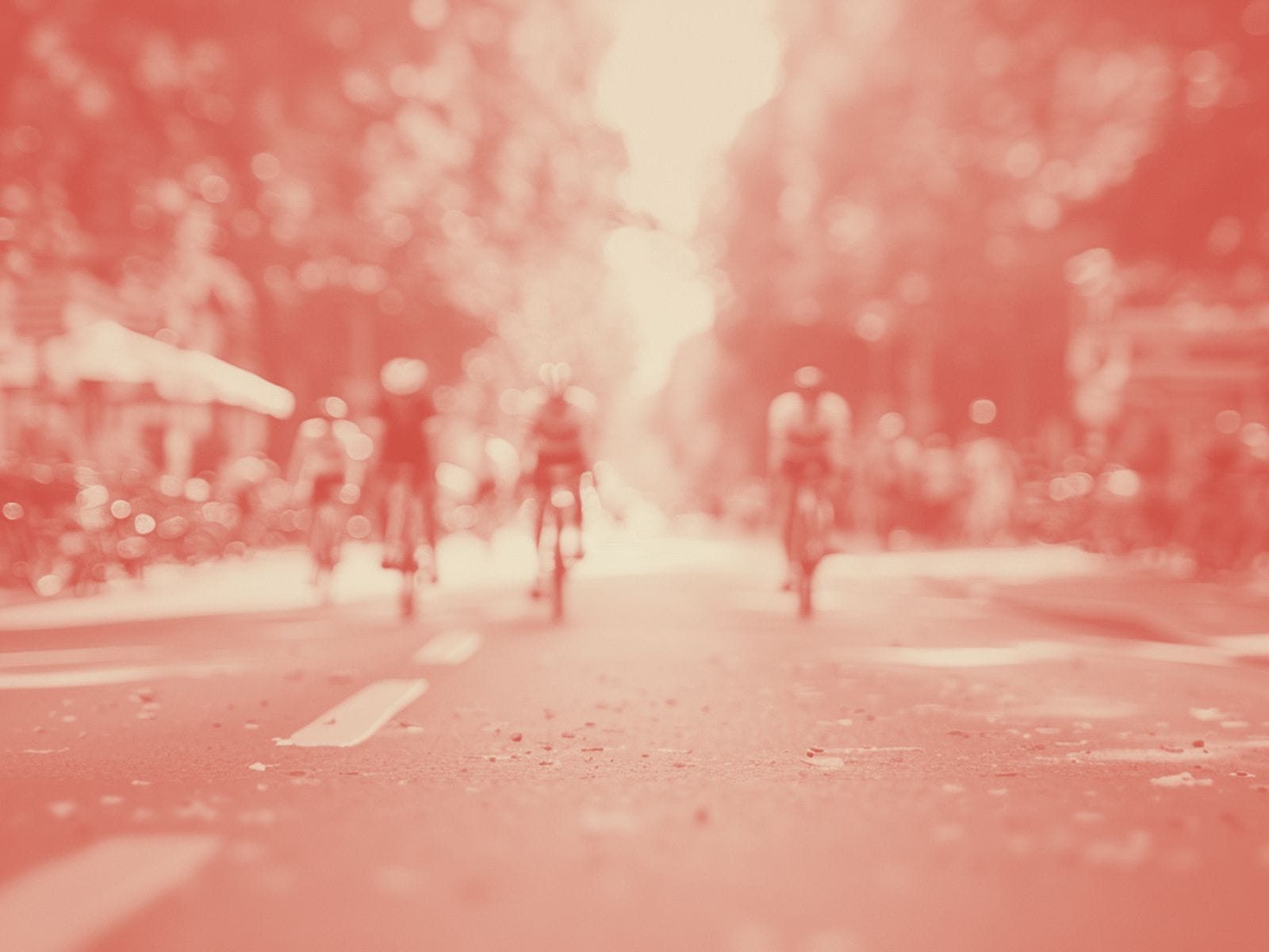 Lidl-Trek sponsors: market and country breakdown of a performance-driven system